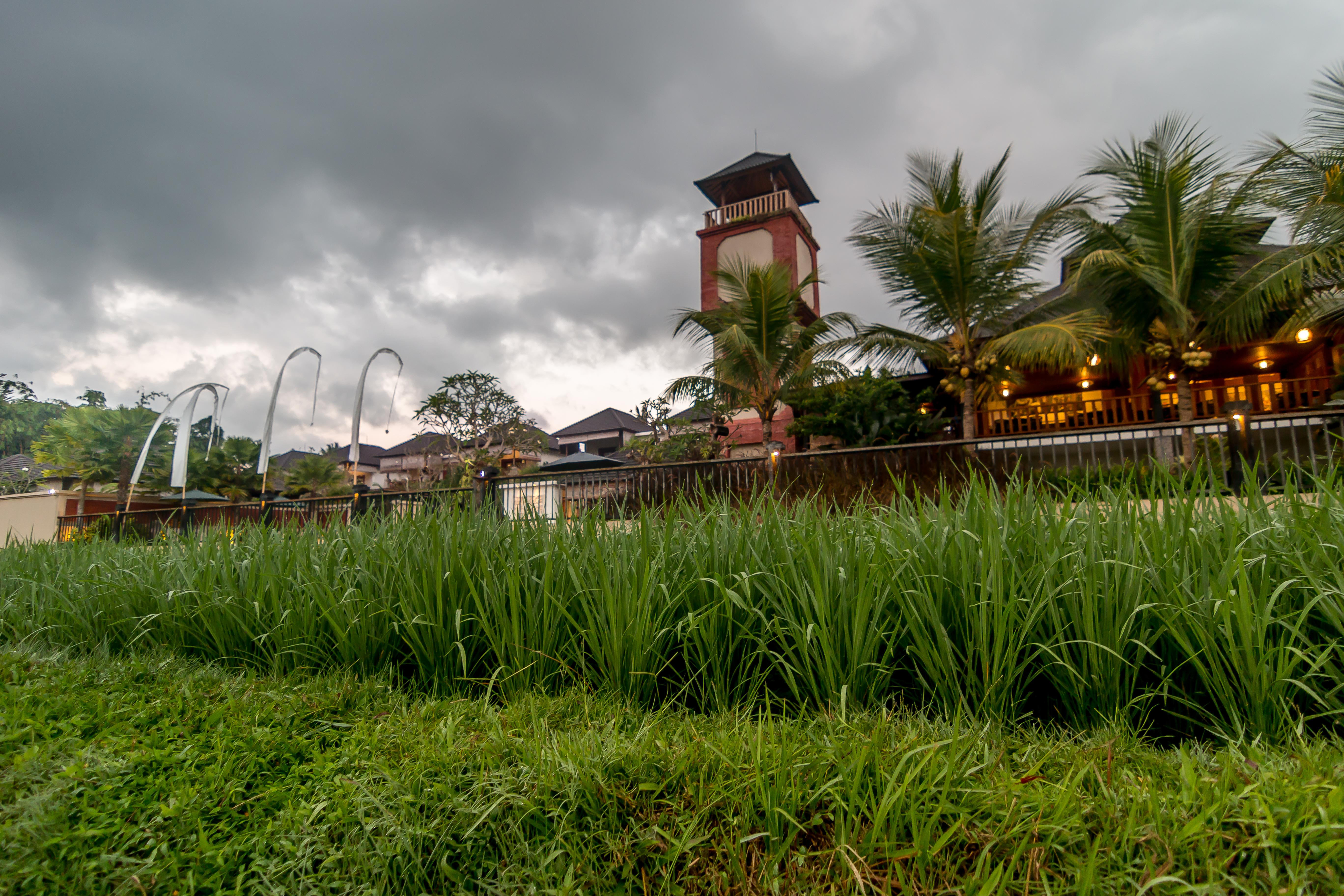 Onje Resort And Villas Ubud Exteriér fotografie